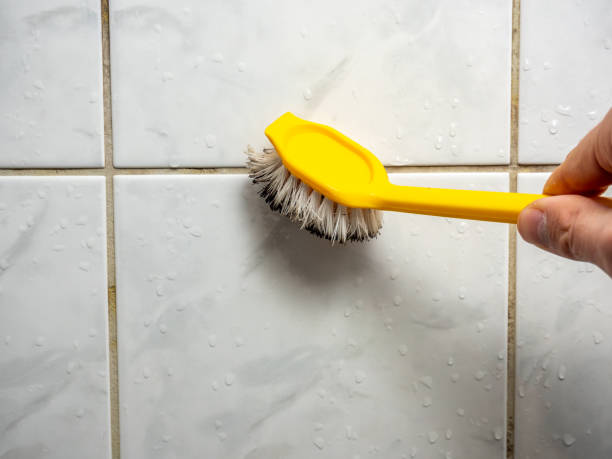 Best Mold Removal Near Me  in Los Molinos, CA