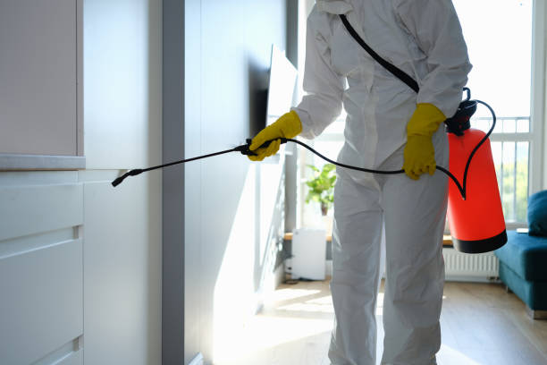 Best Mold Cleaning Services  in Los Molinos, CA