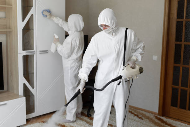 Best Local Mold Removal Service  in Los Molinos, CA