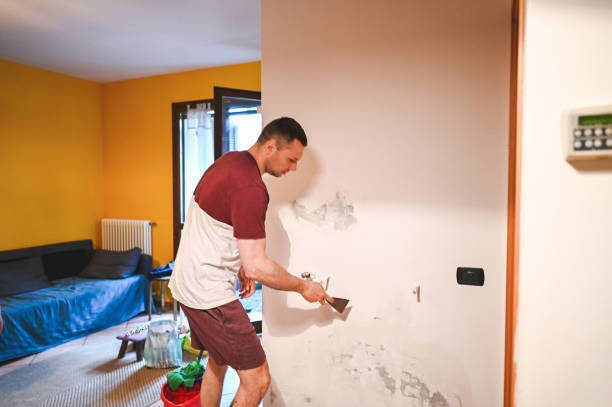 Best Residential Mold Removal  in Los Molinos, CA
